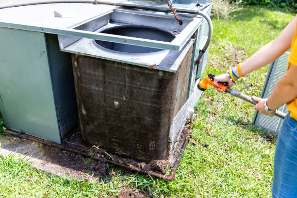 Best Affordable Duct Cleaning Services  in Plumas Lake, CA